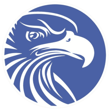 Eagle Audit Logo